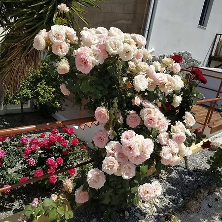 Βίλα Stamatinas Χαράκι